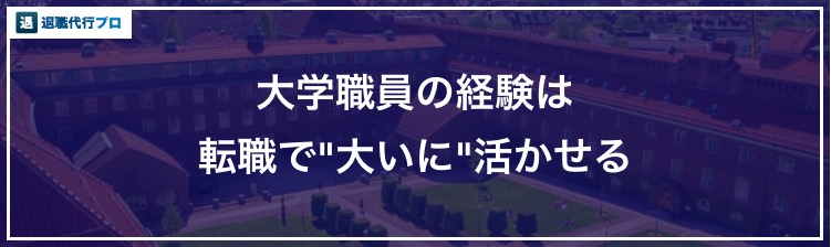 バナー画像「大学教員の転職有利制」